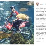 instagram presiden jokowidodo - jokowi